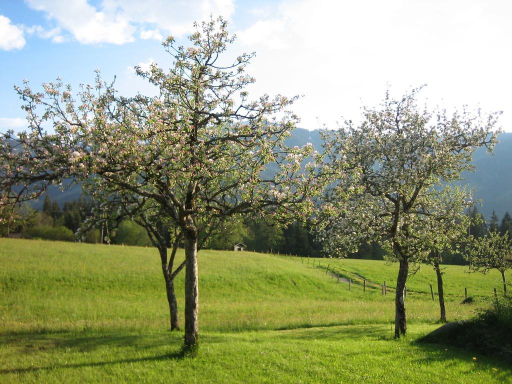 Pension Lärchenbrunn Westendorf Zimmer foto